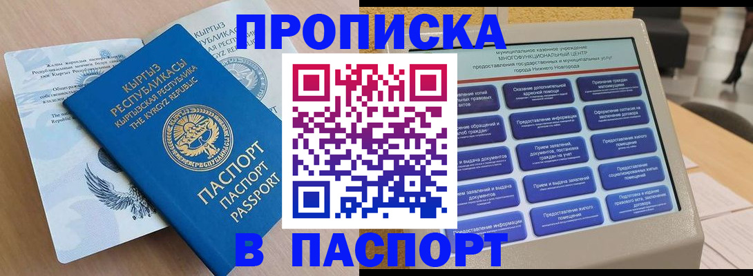 регистрация в Вышнем Волочке